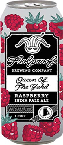 FOOLPROOF RASBERRY PALE ALE 4PK