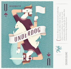 Blackwater Wine Chenin Blanc The Underdog Swartland, Liquor Cave