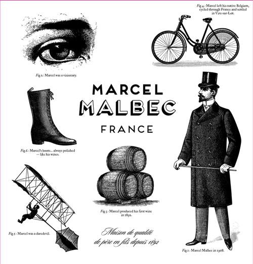 Château du Cèdre Comte Tolosan Malbec Marcel, Liquor Cave