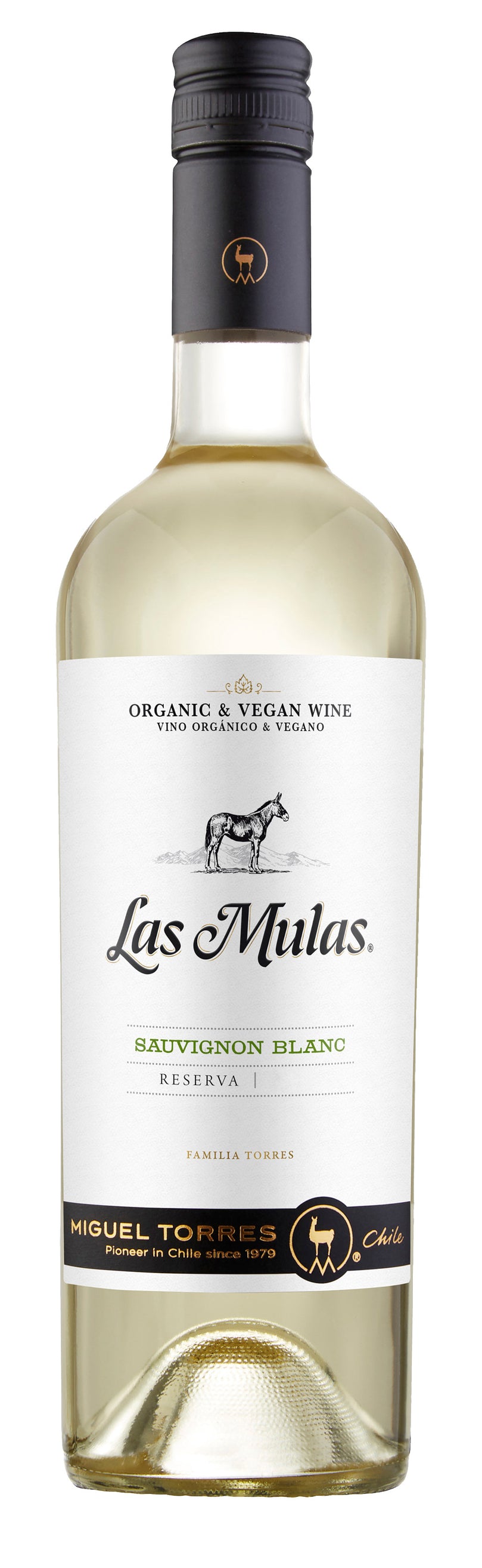 Andica Sauvignon Blanc 2024