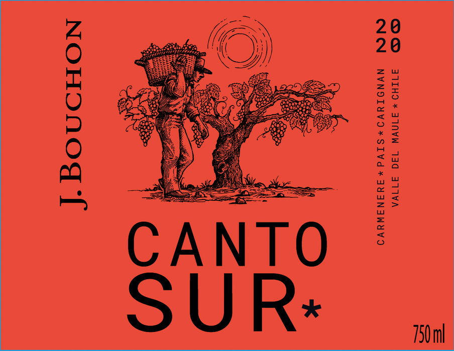J. Bouchon Canto Sur Valle del Maule, Liquor Cave