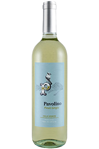 Pavolino Pinot Grigio|Liquor Cave