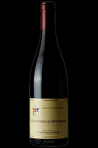 Dom Castagnier Chambolle Musigny|Liquor Cave