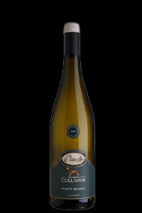 Collavini Pinot Grigio Collio