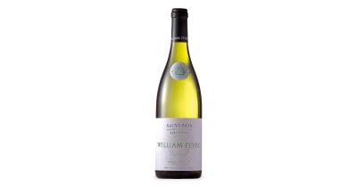 William Fevre St.Bris V 2022