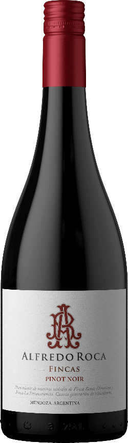 Alfredo Roca Pinot Noir 'Fincas' San Rafael 2024