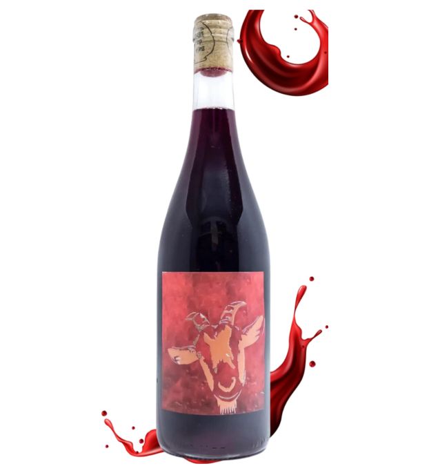 Bojo do Luar Deu Bode Vinho Verde Tinto 2023