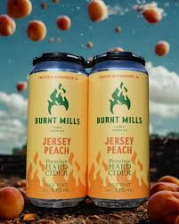 Burnt Mills Jersey Peach