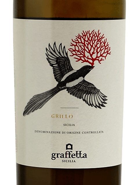 Graffetta Grillo
