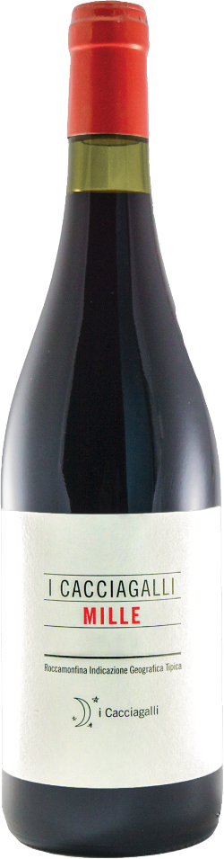 I Cacciagalli Rosso Roccamonfina 'Mille' 2022