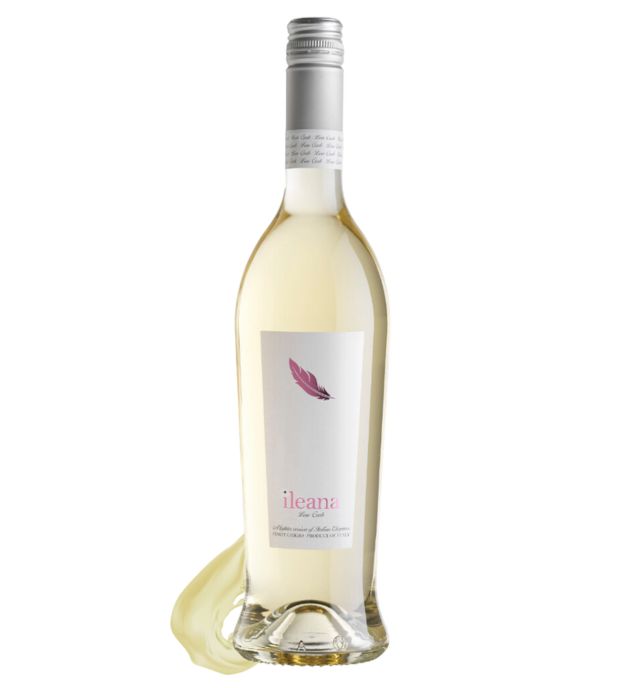 Ileana Dolomiti Pinot Grigio 2022