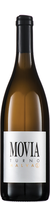Movia 22 Malvazia