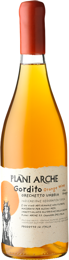 Plani Arche Grechetto 'Gordito Orange' 2022