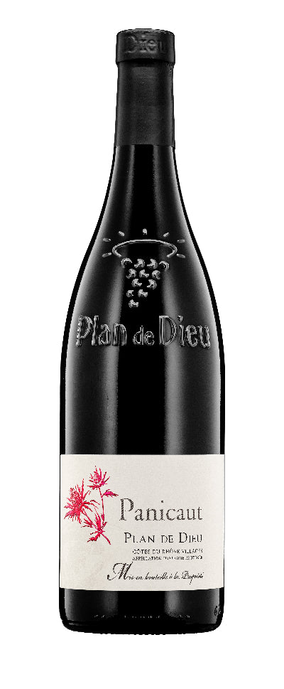 Panicaut CDR Villages Plan de Dieu 2020 | Liquor Cave