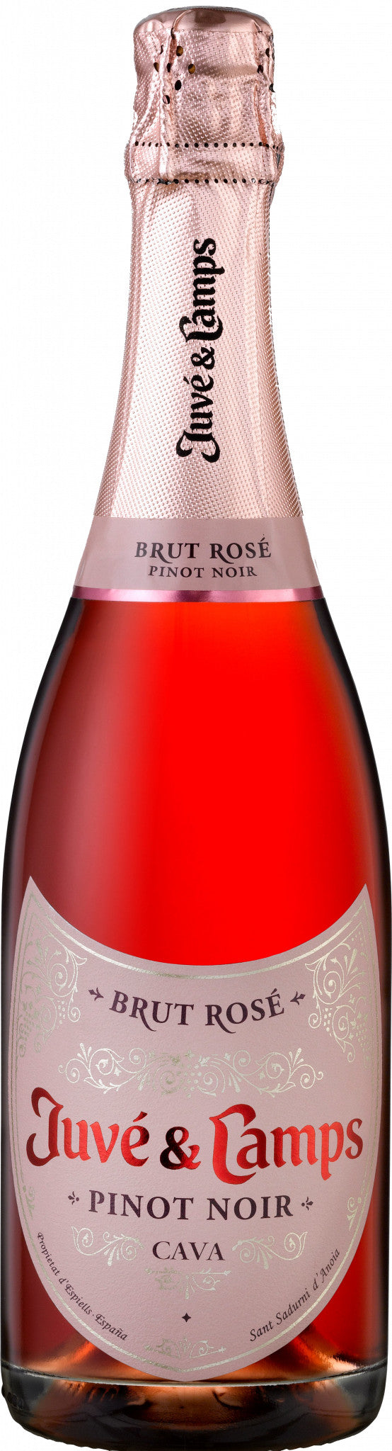 Juve & Camps Brut Rose Nv | Liquor Cave