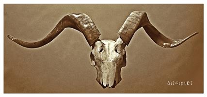 The Crane Assembly Disciples Napa Valley, Liquor Cave