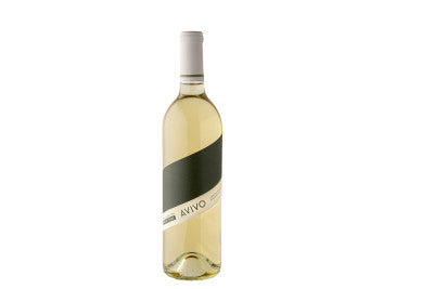 Avivo White 2022