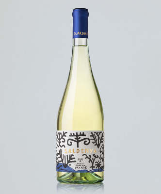 Saldenya Vermentino Podere Guardia Grande Sardegna 2024