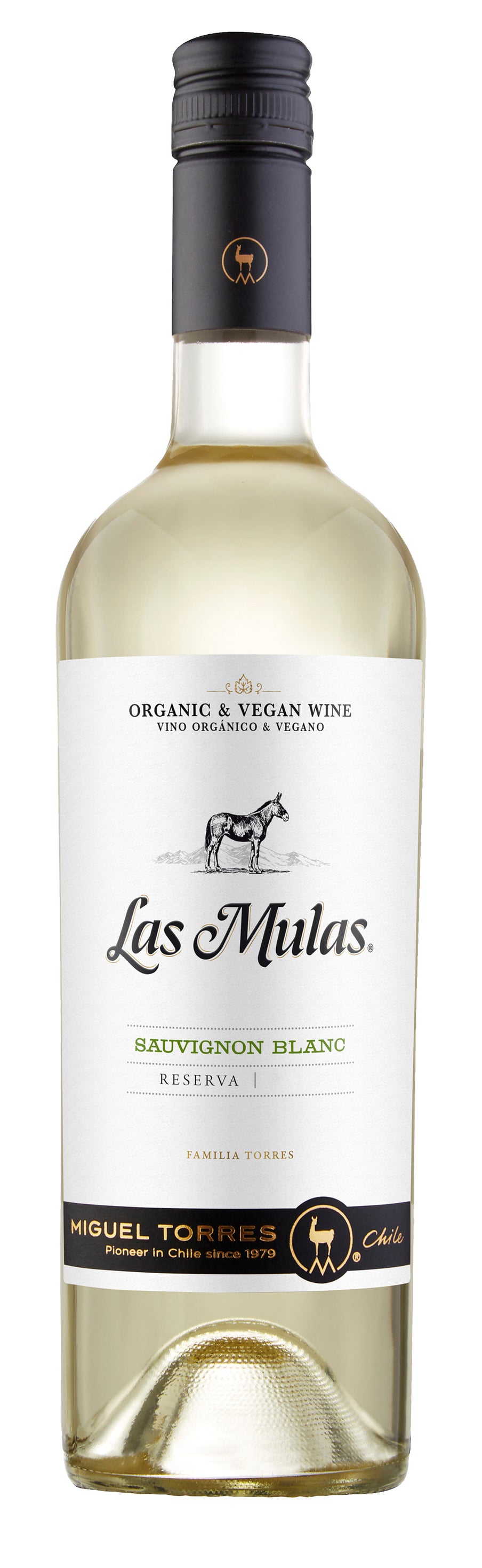 Andica Sauvignon Blanc 2024