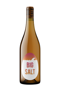 Big Salt Orange Rose