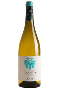 Godelia Blanco Godello|Liquor Cave