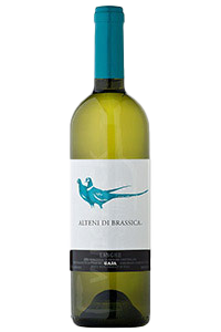 Gaja Sauv Blanc Alteni|Liquor Cave