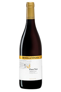 Bottega Vinaia P Noir (Trentino)|Liquor Cave