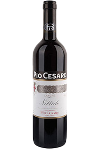 Pio Cesare Nebbiolo Langhe|Liquor Cave