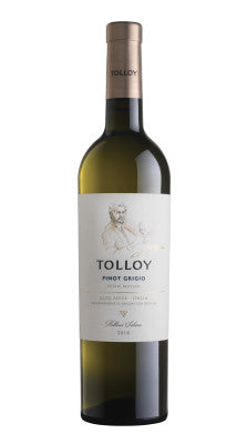 Tolloy Pinot Grigio Sudtirol Alto Adige Doc 2023