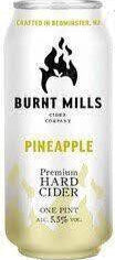 Burnt Mills  Pineapple 4Pk
