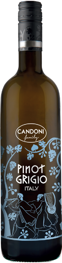Candoni Pinot Grigio Delle Venezie 2023