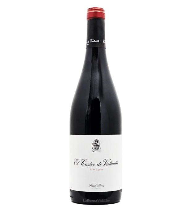 Castro Ventosa Bierzo Mencia 2023