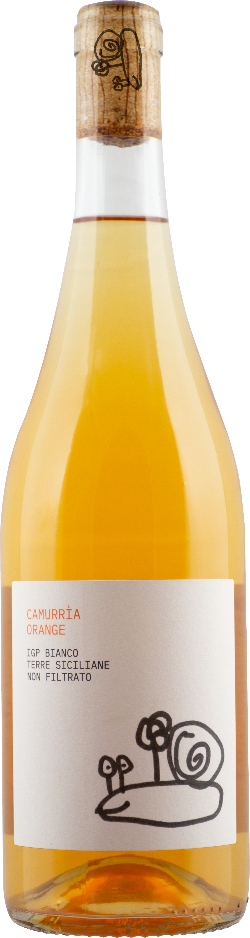 Di Giovanna Grillo 'Camurria Orange' 2024