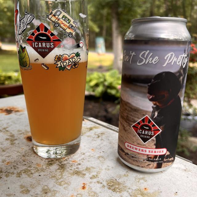 Icarus Brewing  Aint She Pretty 4Pk