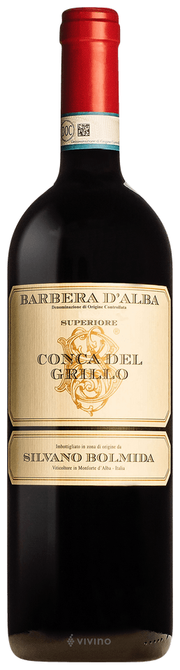 Silvano Bolmida Barbera d’Alba Superiore ‘Conca del Grillo’ 2021