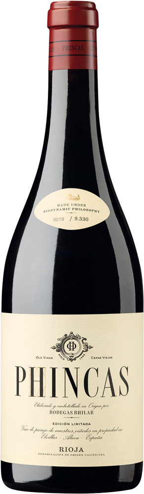 Bhilar 'Phincas' 2020